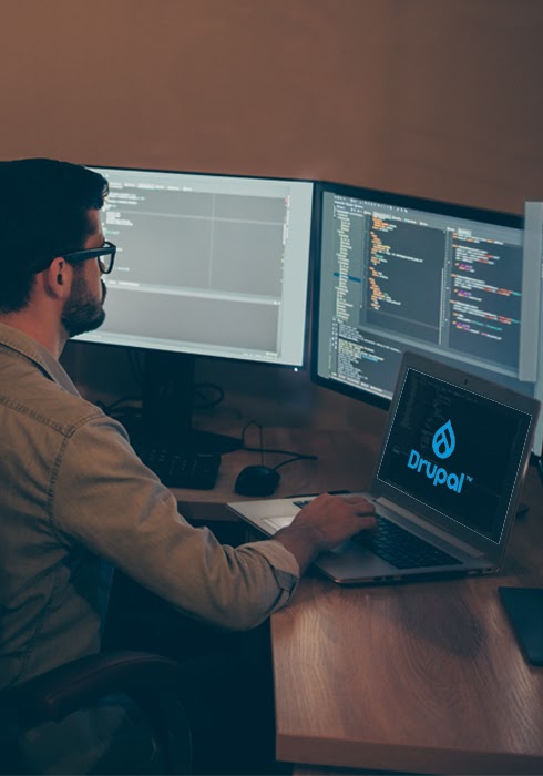 Drupal development services