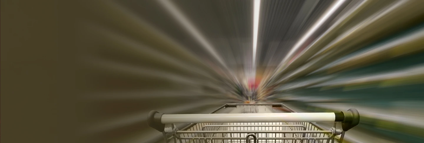 Ecommerce Development