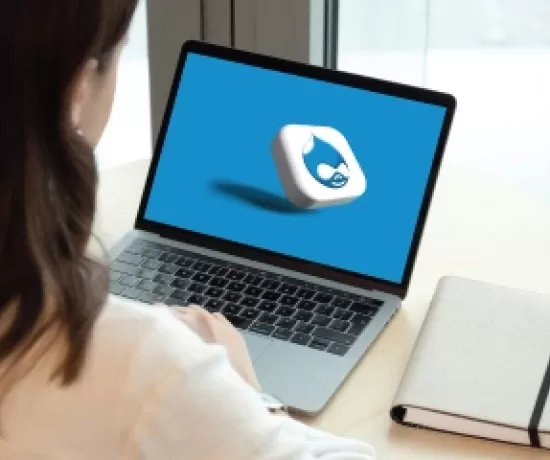 Drupal Development Trends 2024